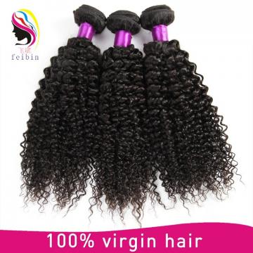 virgin malaysia kinky curly hair kinky curly no tangle no free human hair